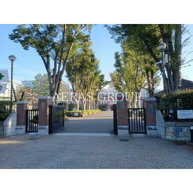 成蹊大学 距離：553m