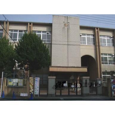 養徳小学校 距離:540m