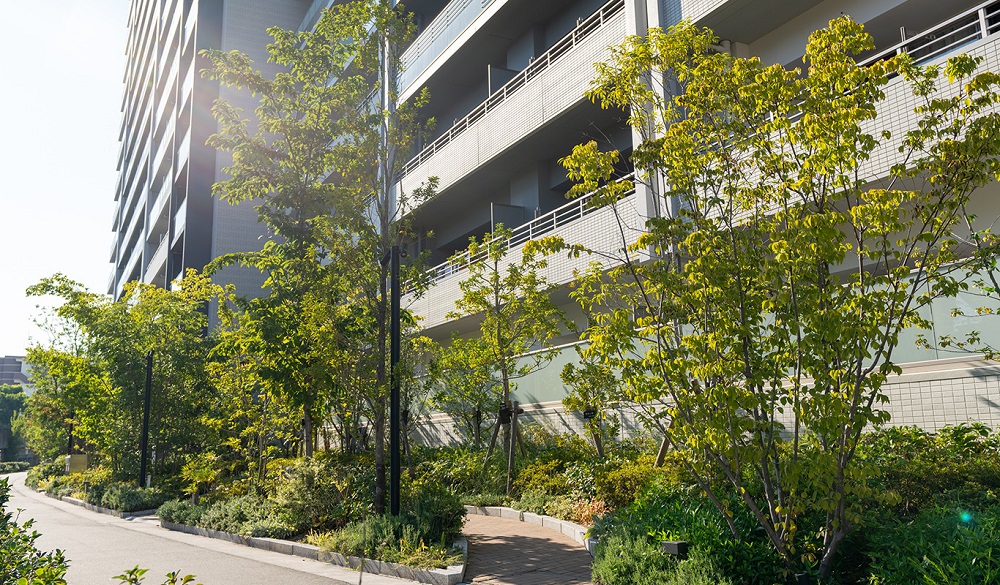 外観（2024年9月撮影）