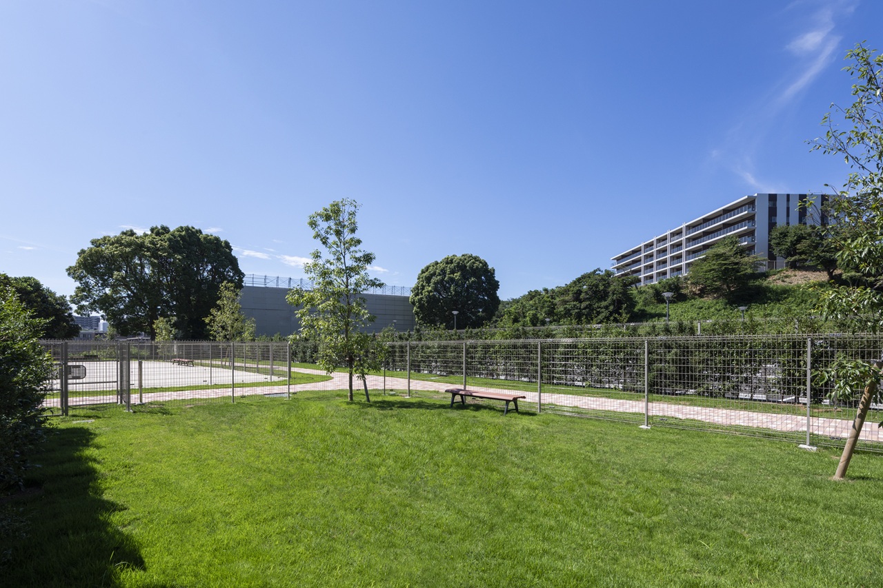 グラスドッグラン（2022年7月撮影）