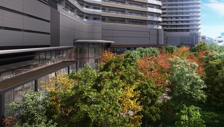 敷地西側完成予想CG