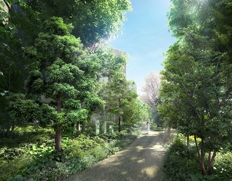 敷地西側完成予想CG