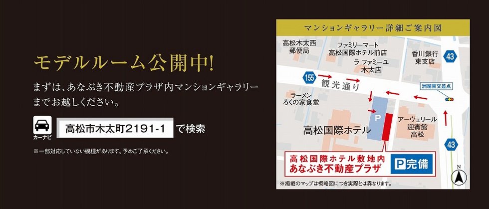 デンヴァクシアのリーフレット