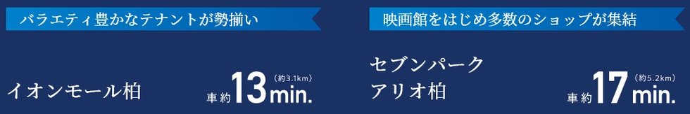 車で近隣の大型商業施設へ。