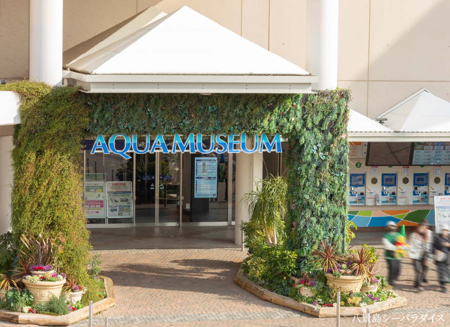 HAKKEIJIMA
