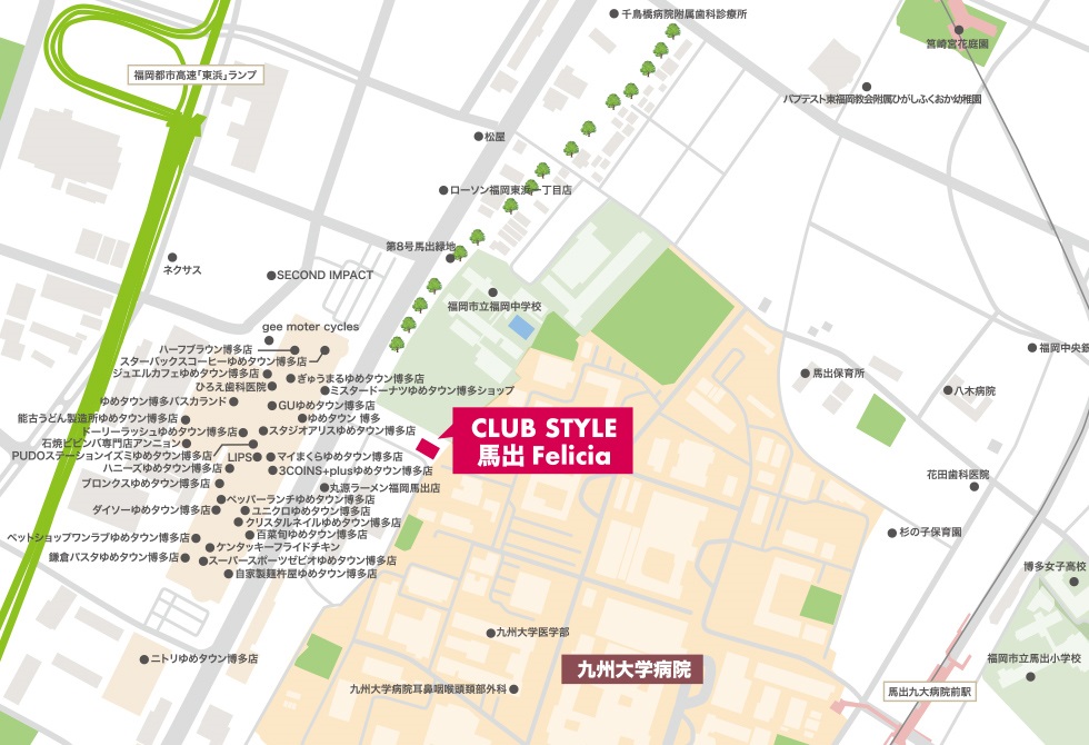 現地案内図