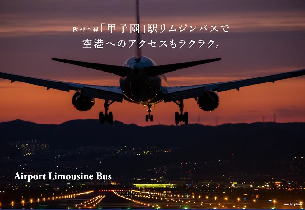 Airport Limousine Bus