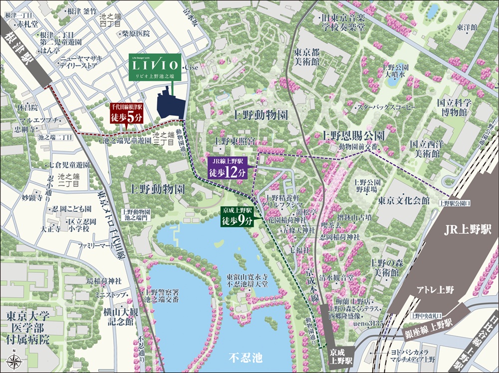 現地案内図
