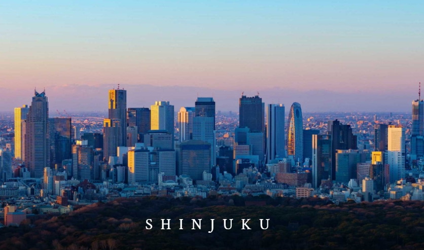 「新宿」駅へ 直通7分（7分）