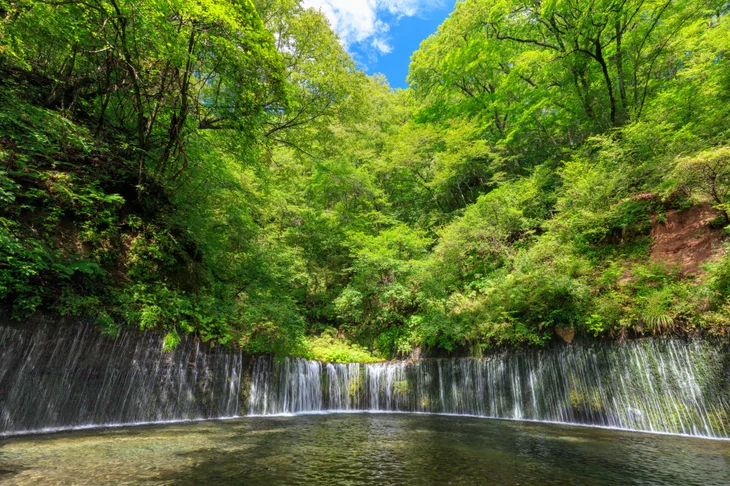 所沢I.Cより