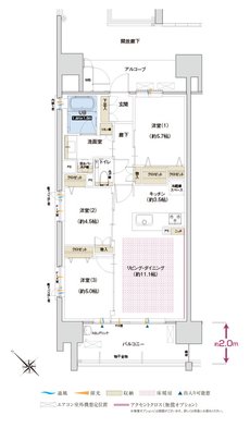 グラディス西広島駅前ザ・タワー 間取り Dタイプ