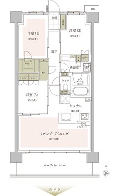 ザ・ライオンズ武蔵小杉 間取り P1 type