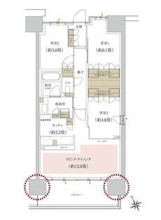 ルネ柏ディアパーク 間取り B6 type