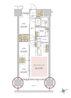 ルネ柏ディアパーク 間取り E2 type