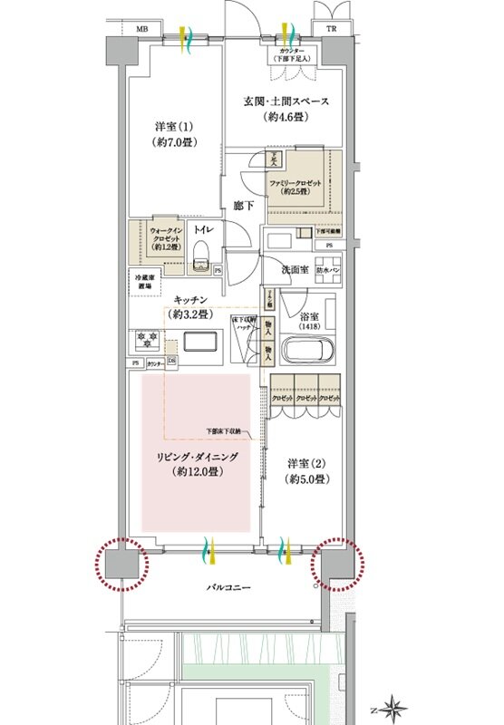 ブランシエラ武蔵中原 間取り F+ type