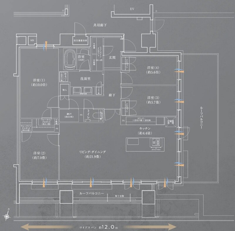 リビオ西新二丁目 間取り Lタイプ