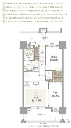 アクタス博多グランミライ プレミアム 間取り C type