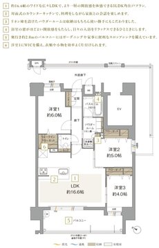 アクタス博多グランミライ プレミアム 間取り H type