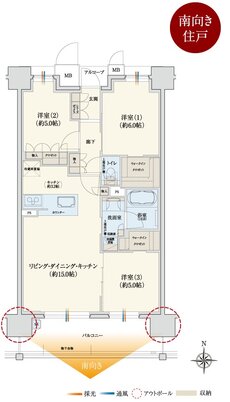 サンメゾン新田辺駅前 間取り C type