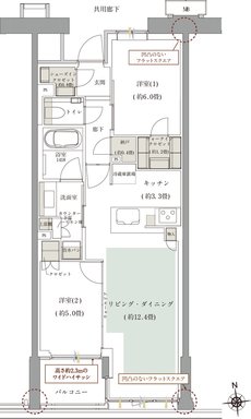 ルネグラン上石神井 間取り C2p TYPE