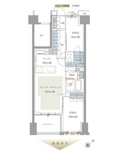 ルネ柏ザ・レジデンス 間取り B TYPE