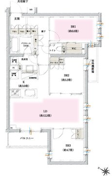 イノバス石神井公園 間取り Dタイプ
