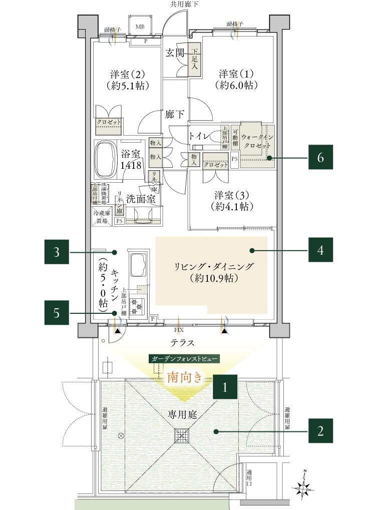 クレヴィア西国分寺 間取り N1t type