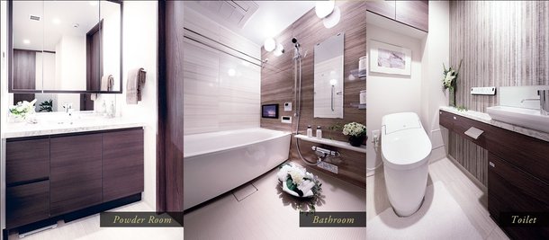 Powder Room/Bathroom/Toilet