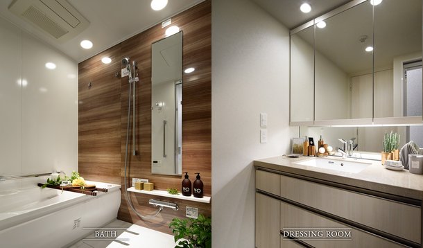 BATH / DRESSING ROOM