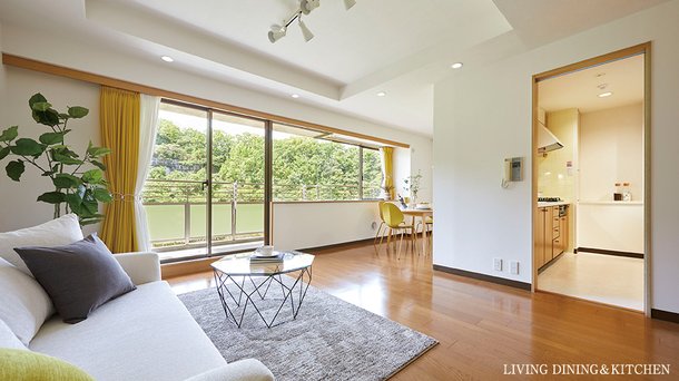LIVING DINING & KITCHEN
