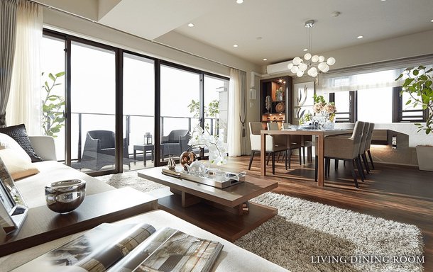 LIVING DINING ROOM