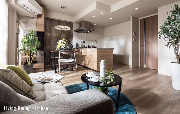 Living Dining Kitchen