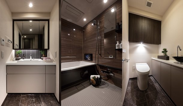Powder Room / Bathroom / Lavatory