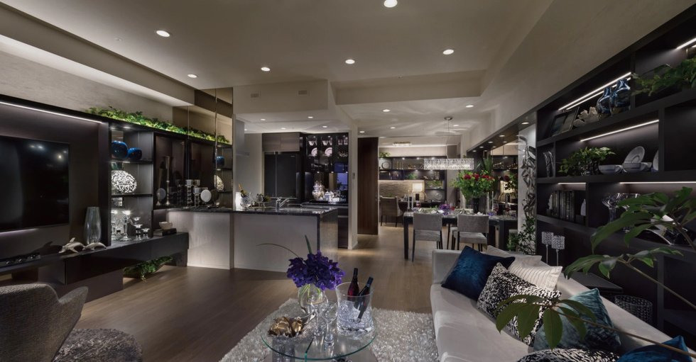 Living Dining Room/Bedroom(2)