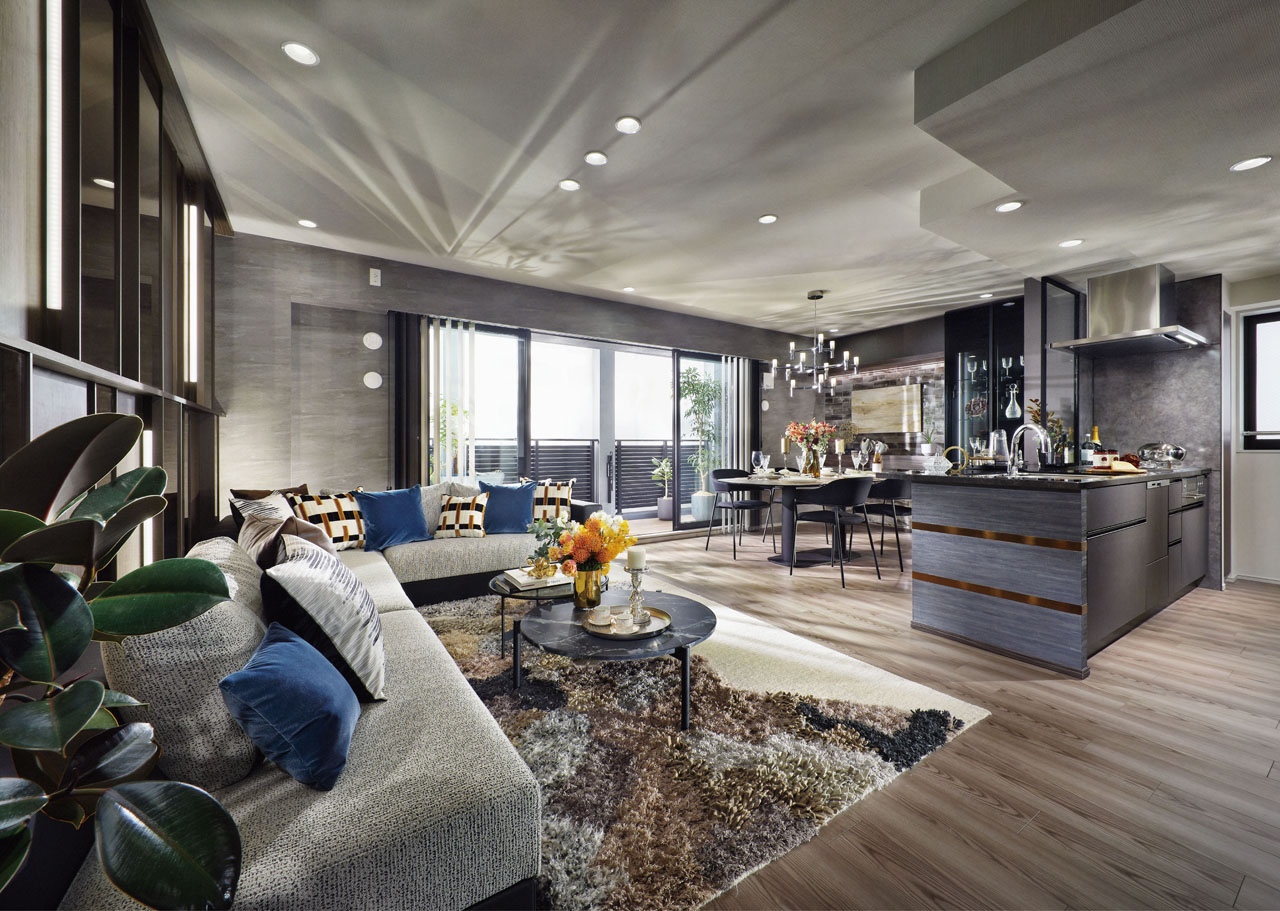 Living dining kitchen