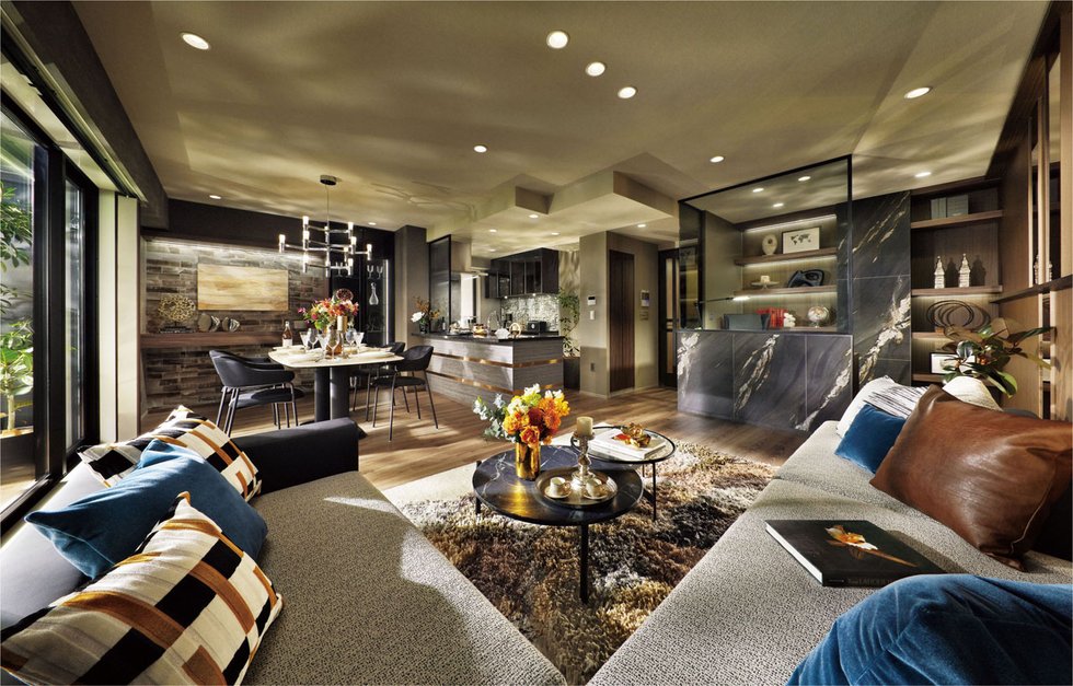Living dining kitchen