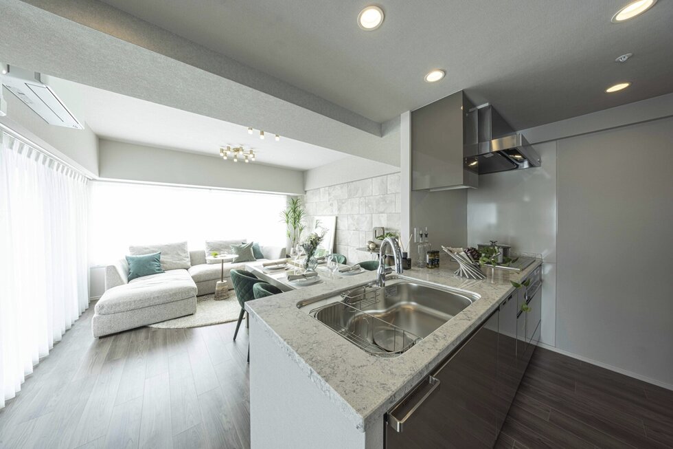 Living Dining/Kitchen