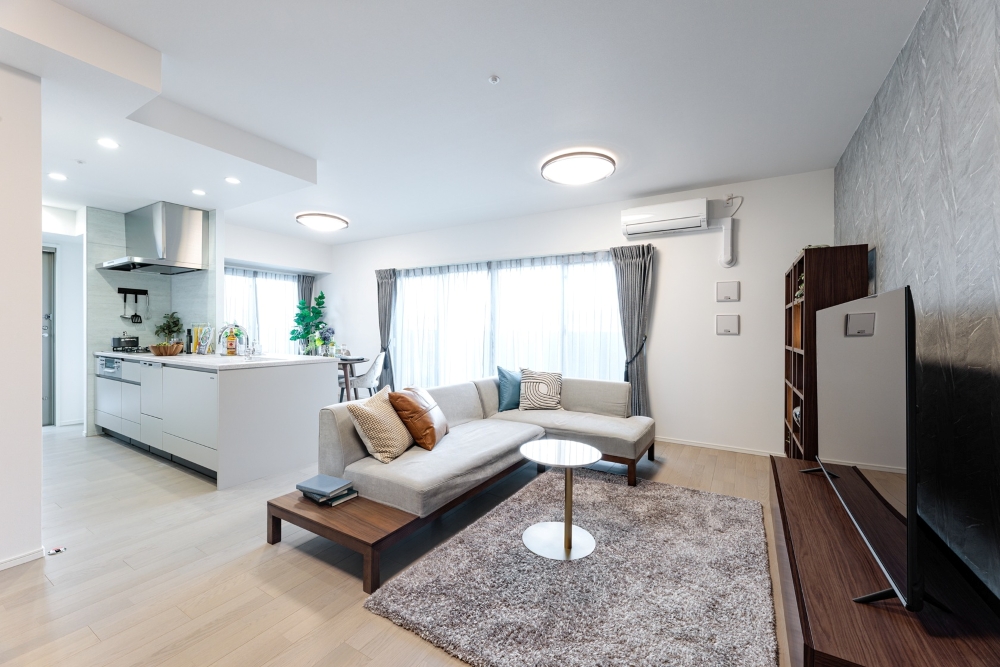 Living Dining Kitchen