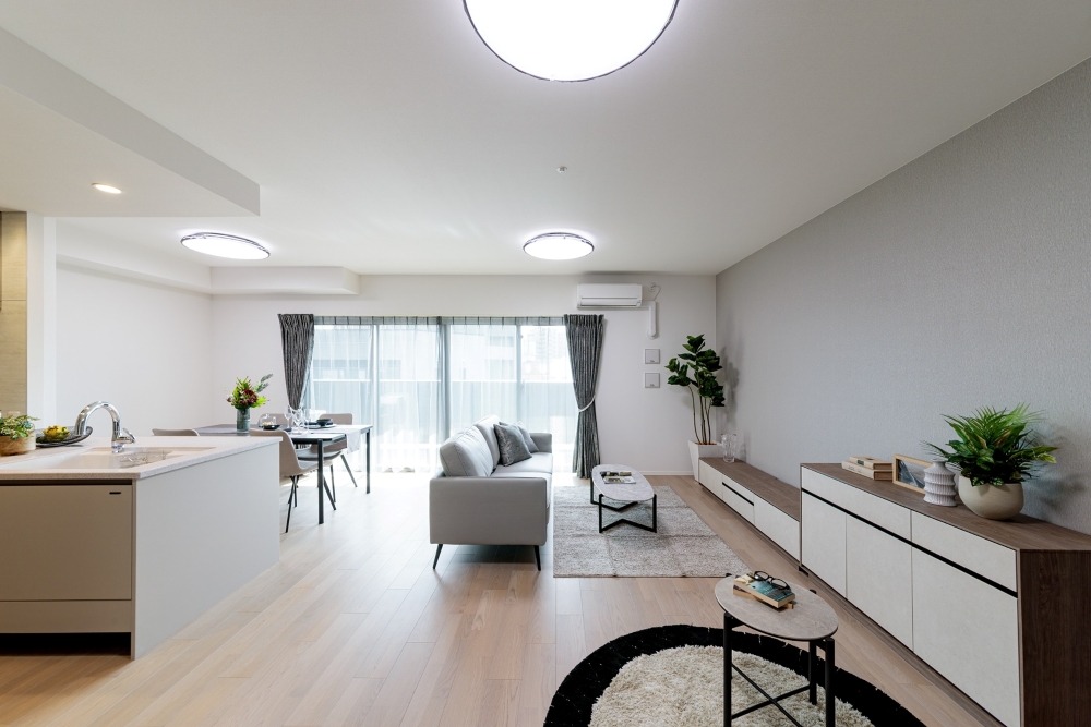 Living Dining Kitchen