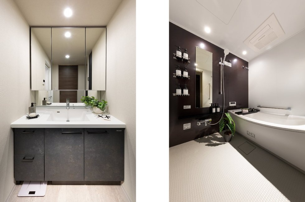 Powder room/Bathroom