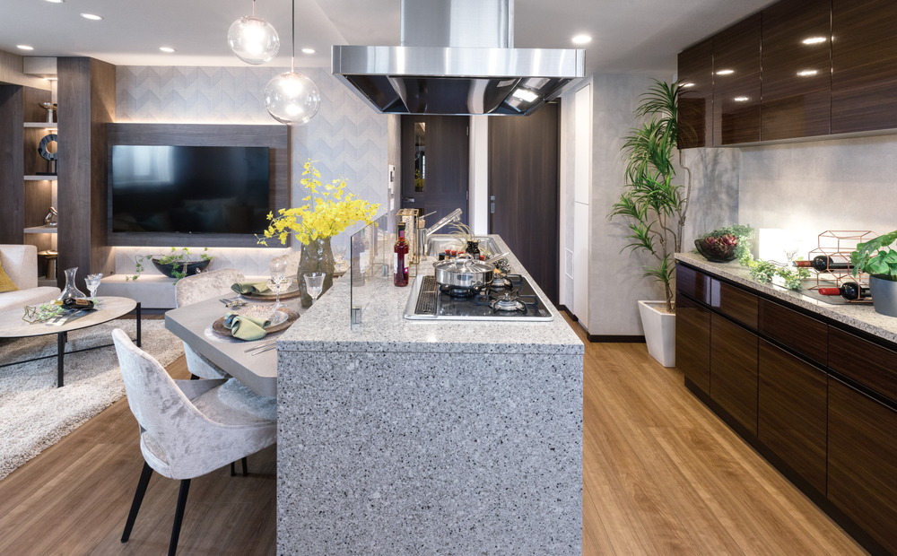 Living Dining Kitchen
