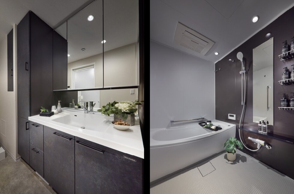 Powder room/Bathroom