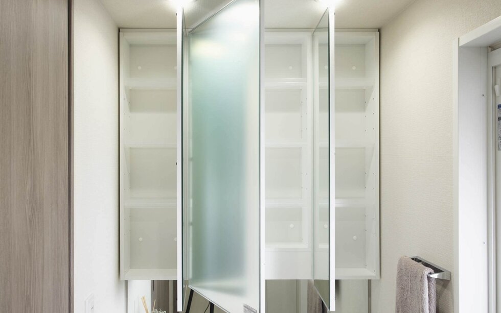 Mirror Cabinet