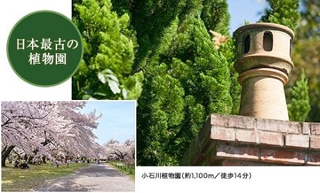 小石川植物園