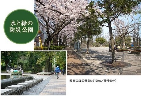 教育の森公園