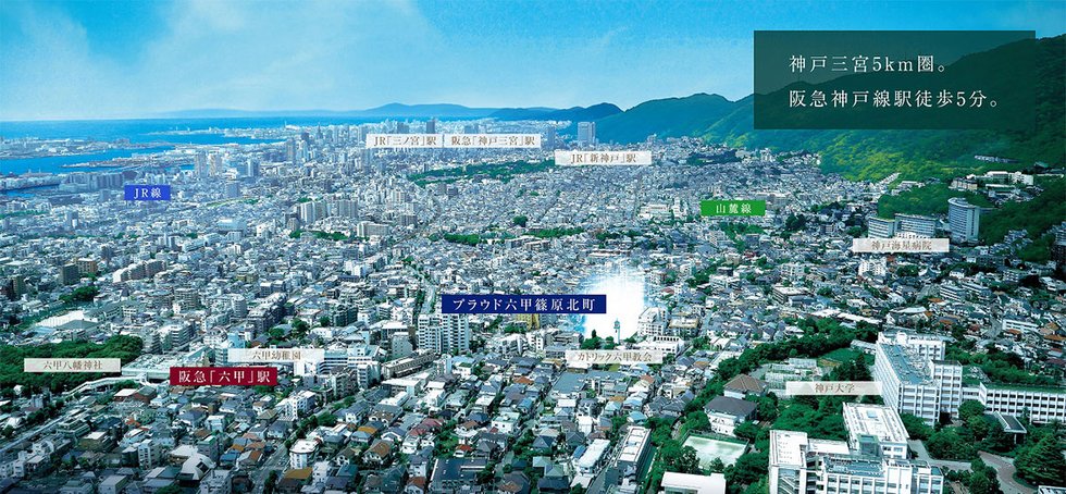 航空写真