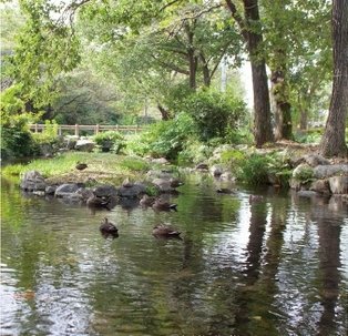 相川緑道