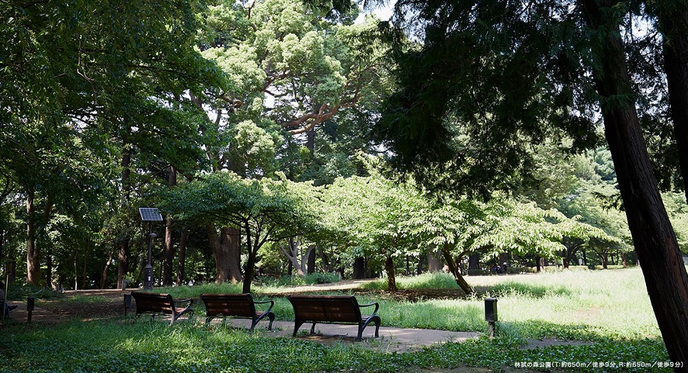 林試の森公園