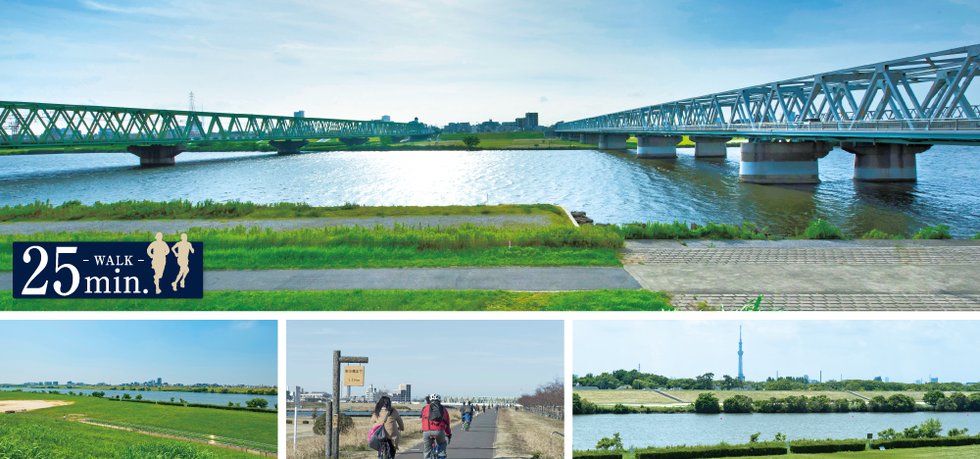 江戸川河川敷緑地