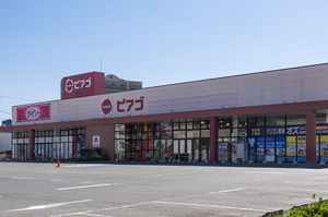 ピアゴ 豊川店